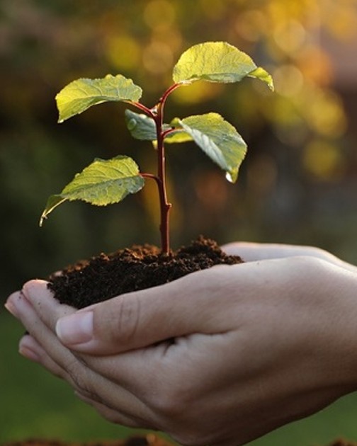 Ngành Tài nguyên và Môi trường